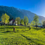 Kashmir tour packages